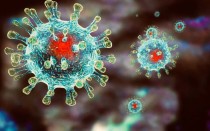 Коронавирус: как наказать виновных, если они с другой планеты? Бесперспективность или надежда?