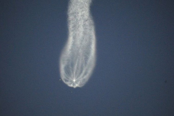 Фотография медузы (петрозаводский инцидент)