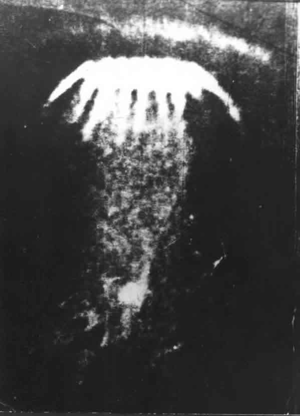 Фотография неопознанного объекта в форме медузы